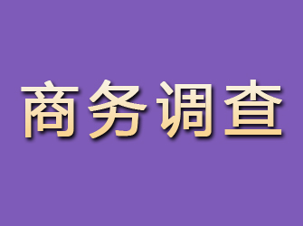 仪征商务调查